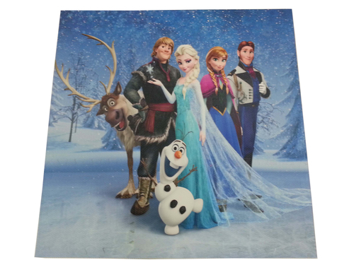 KY-3040FROZEN  |Products|Printing Play mats